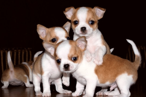 1502180103740064.gif fdsa (2).gif
